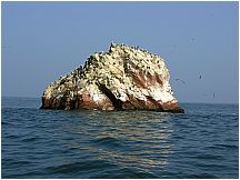 0605260913piscoislespark.jpg