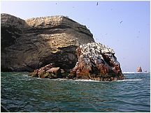 0605260915piscoislespark_3.jpg
