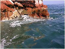 0605260918piscoislespark_5.jpg