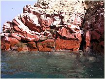 0605260919piscoislesparksealions.jpg
