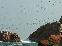 0605260924piscoislespark_2.jpg