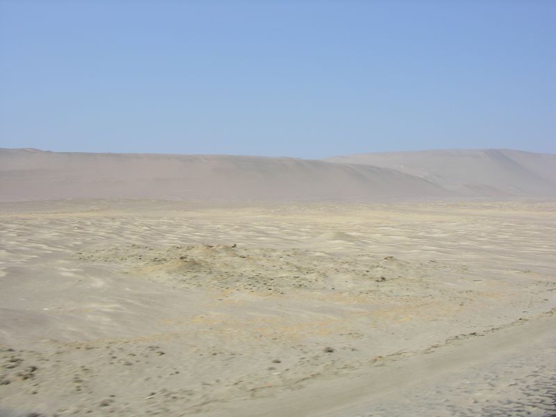 Click on image to return to index 02paracasdesert.jpg