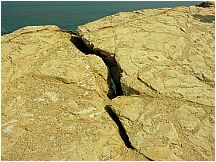 15paracasdesert.jpg