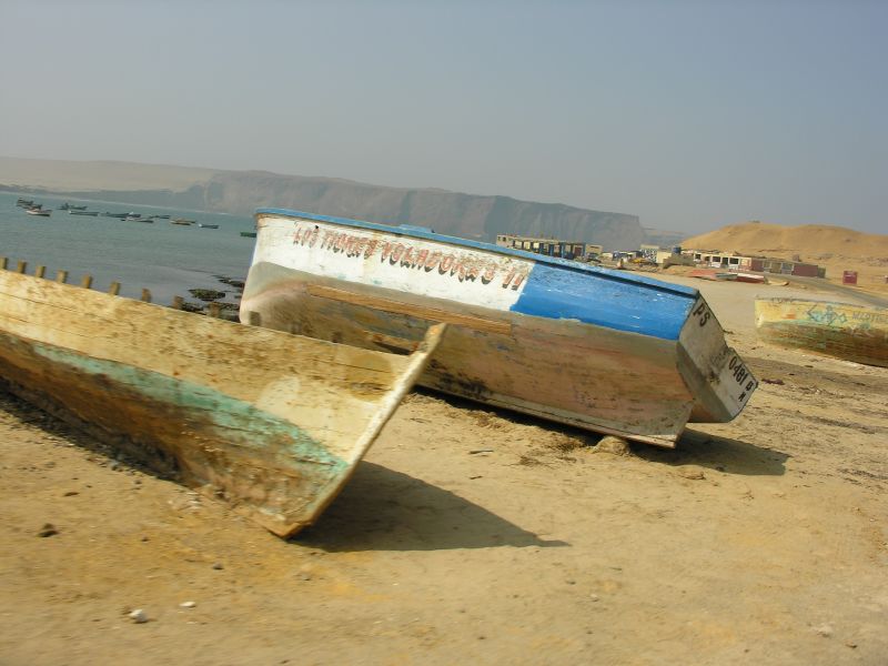 47pisco.jpg