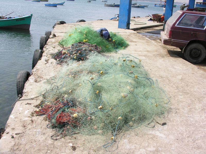 60piscogillnets.jpg