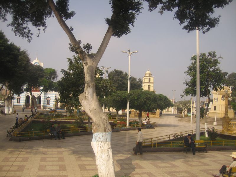 72pisco.jpg