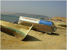 47pisco.jpg