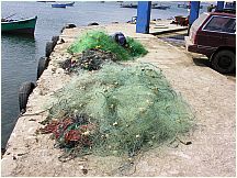 60piscogillnets.jpg