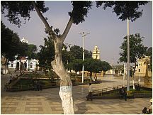 72pisco.jpg