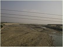 78pisco.jpg