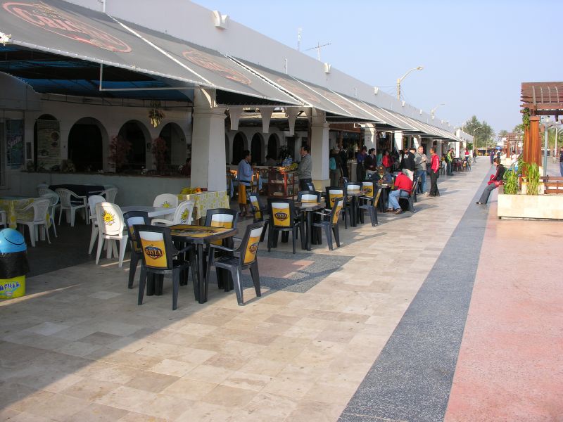 02pisco_elchaco.jpg