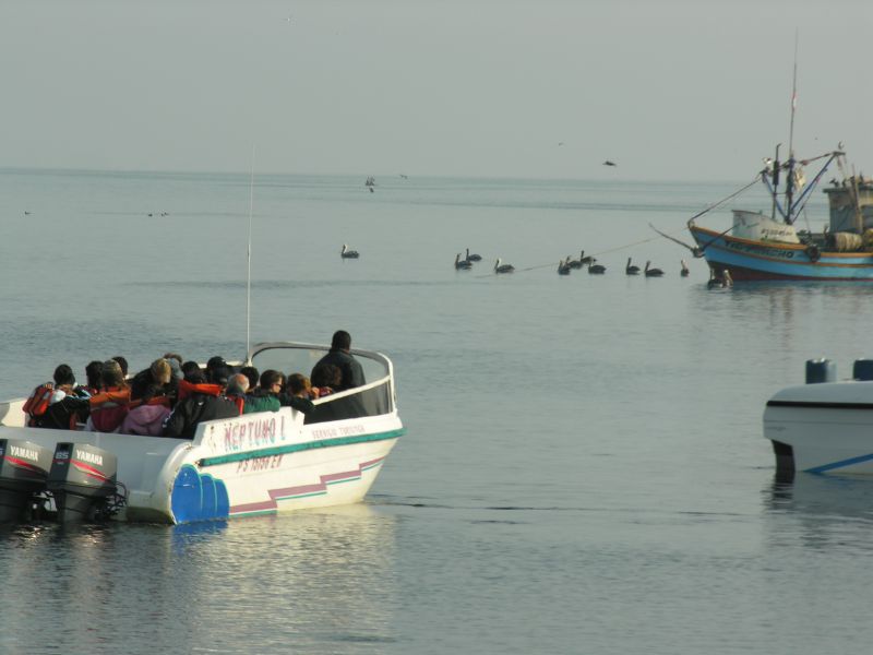 04pisco_elchaco.jpg