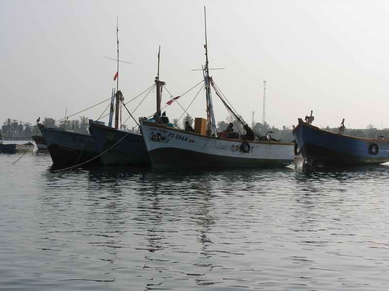 08pisco_elchaco.jpg