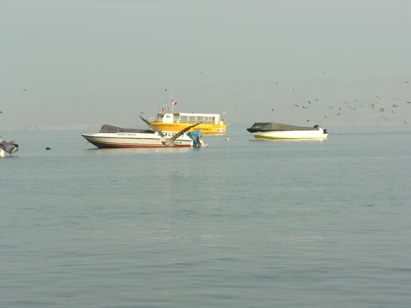 12piscoelchaco.jpg