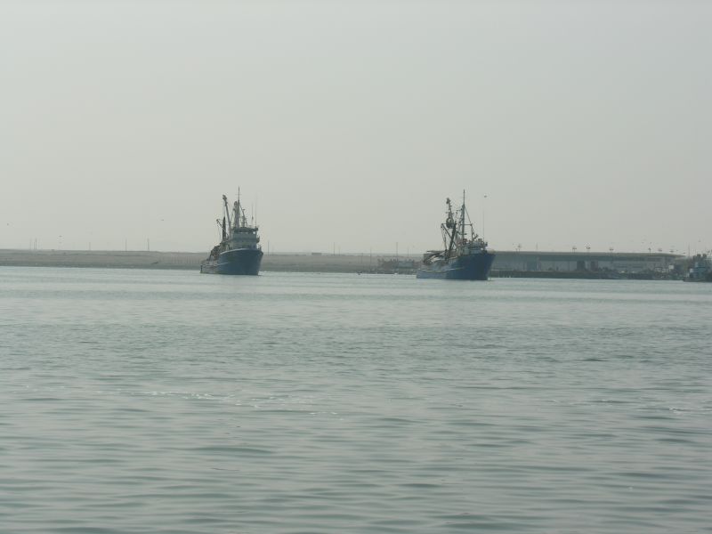 15pisco_elchaco.jpg