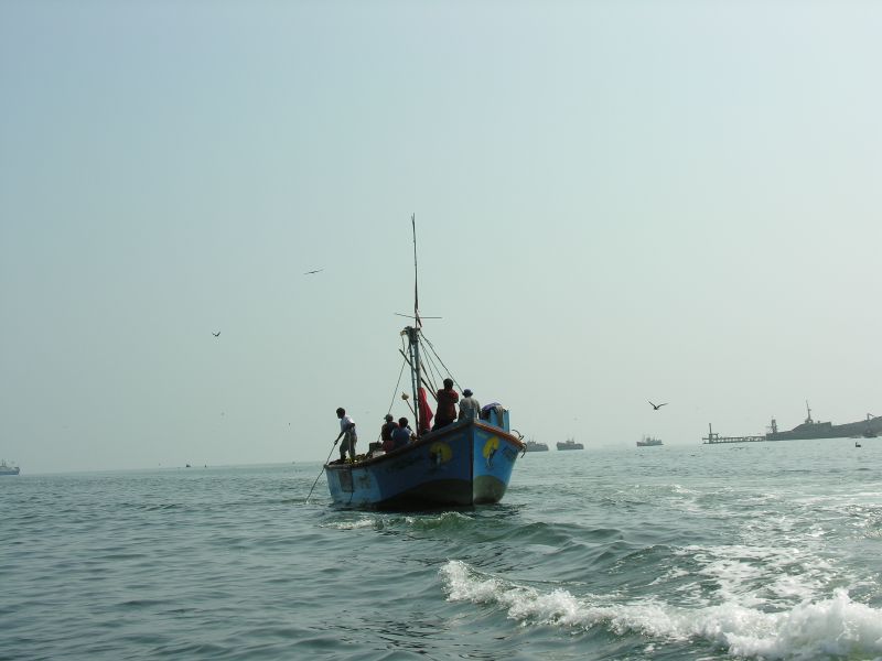 21piscoelchaco.jpg