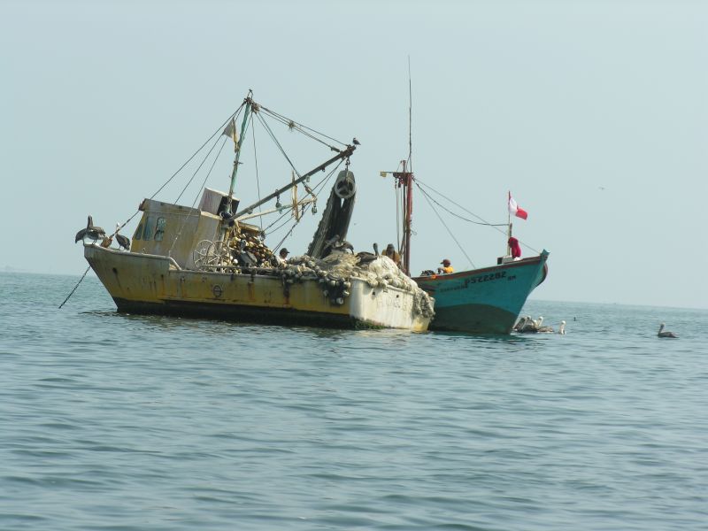 22pisco_elchaco.jpg