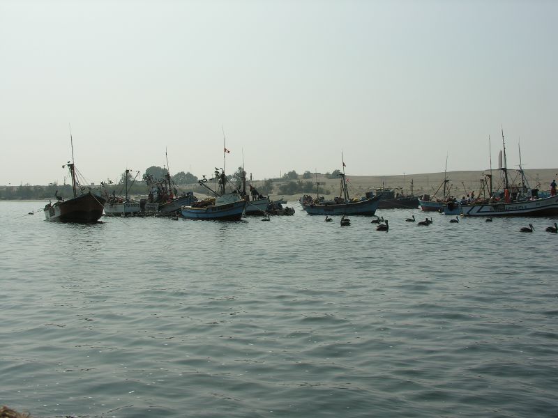 23pisco_elchaco.jpg