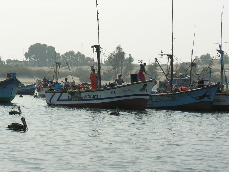 24pisco_elchaco.jpg