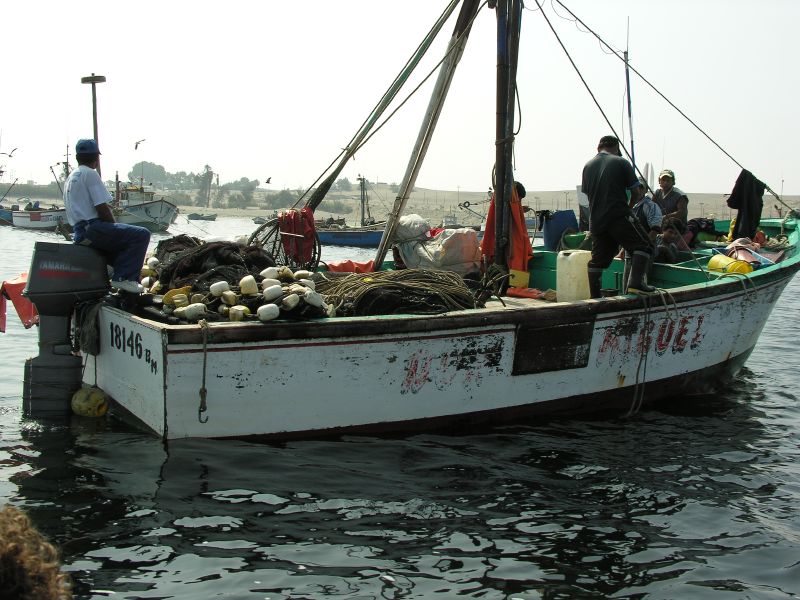 25pisco_elchaco.jpg