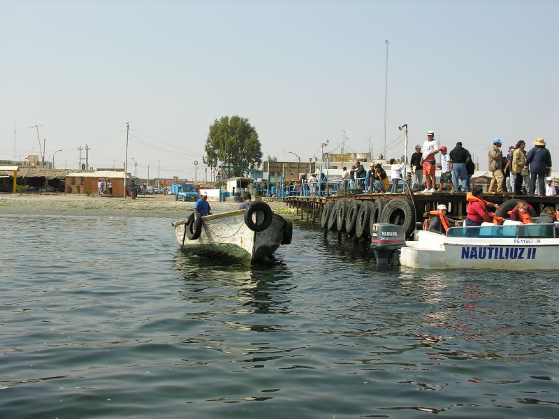 27pisco_elchaco.jpg