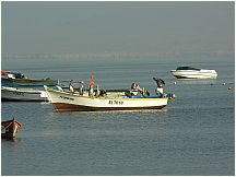 05piscoskiffspelicanselchaco.jpg