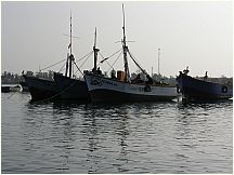 08pisco_elchaco.jpg