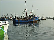 09piscofishingboatselchaco.jpg