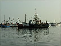 11piscofishingboatspelicanselchaco.jpg