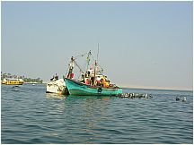 20piscofishingboatelchaco.jpg