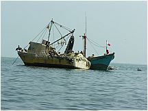 22pisco_elchaco.jpg