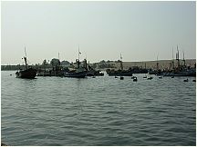23pisco_elchaco.jpg
