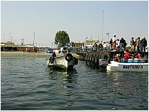 27pisco_elchaco.jpg