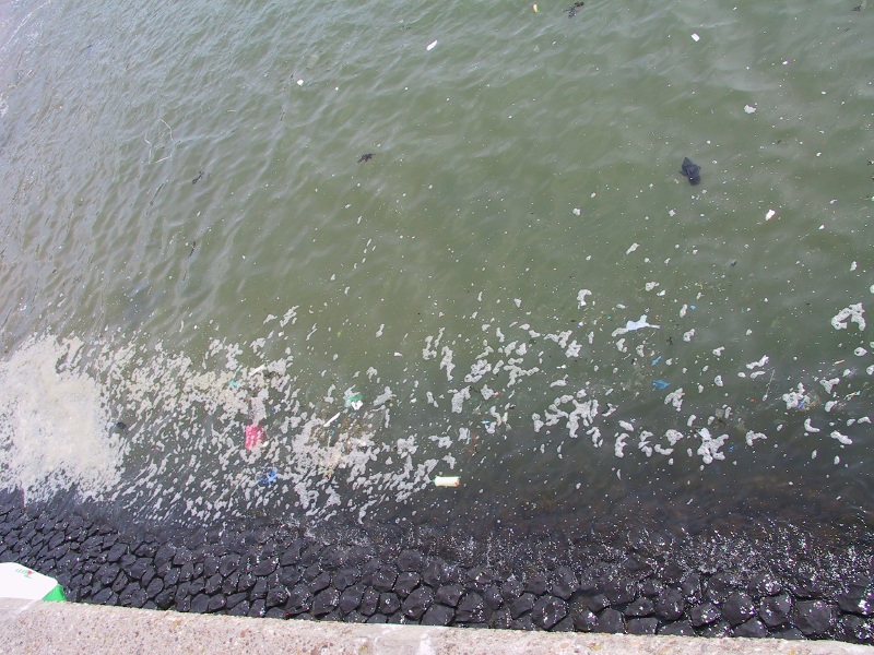 Click on image to return to index shoremarinedebris01.jpg