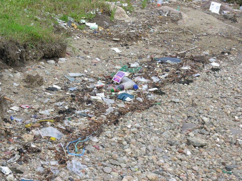 shoremarinedebris03.jpg