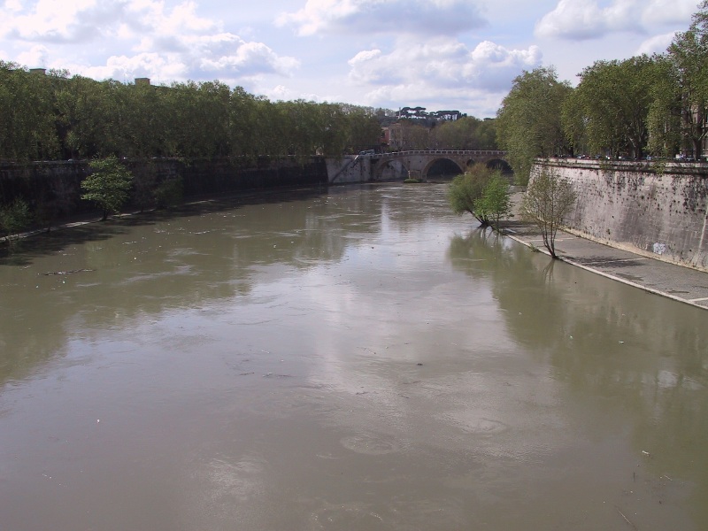 tiberriverpollution08.jpg