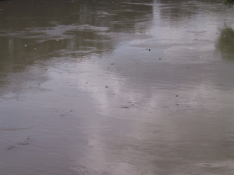 tiberriverpollution09.jpg