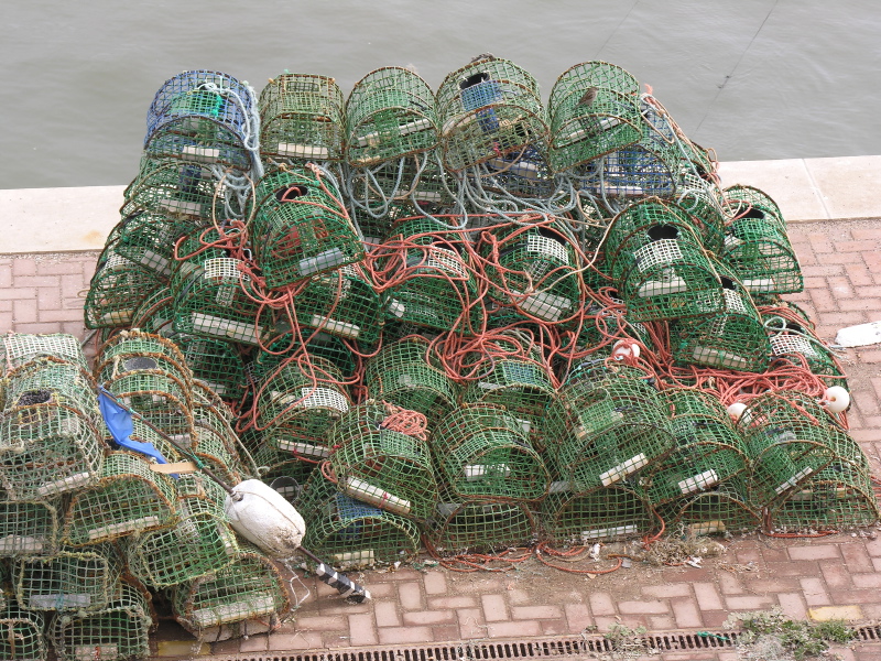 029cascais26mar05crabtraps.jpg