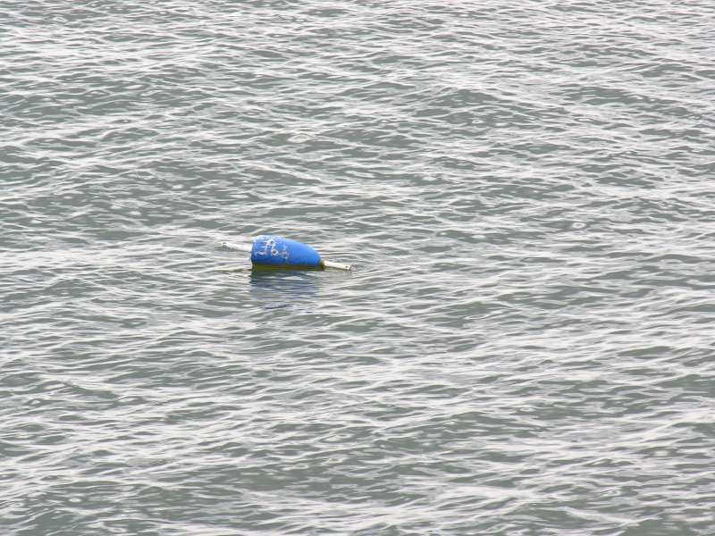 0504232306pointlookoutcrabpotbuoy.jpg