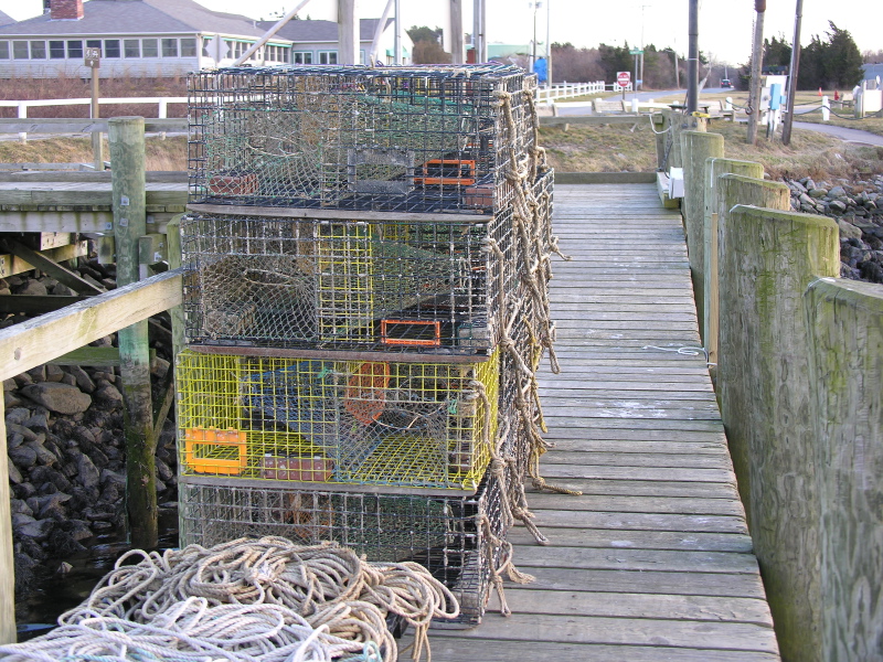 06208042508sandwichlobsterpots.jpg