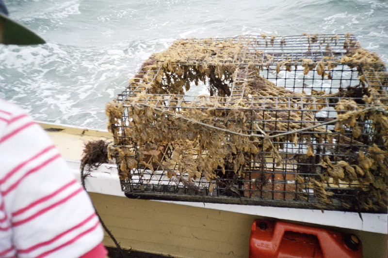 jimg06.jpg
