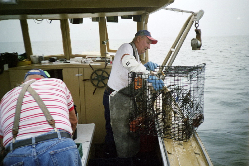 jimg18baitingtrap.jpg