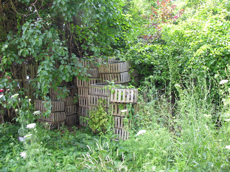 w0607191433conchpots.jpg