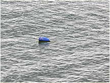 0504232306PointLookoutCrabPotBuoy.JPG