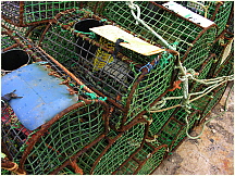 07obidos24mar05CrabTraps.jpg