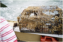 JIMG06.JPG