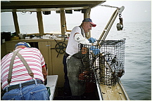 JIMG18BaitingTrap.JPG