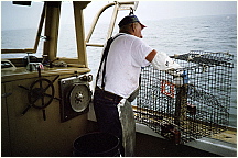 JIMG24.JPG