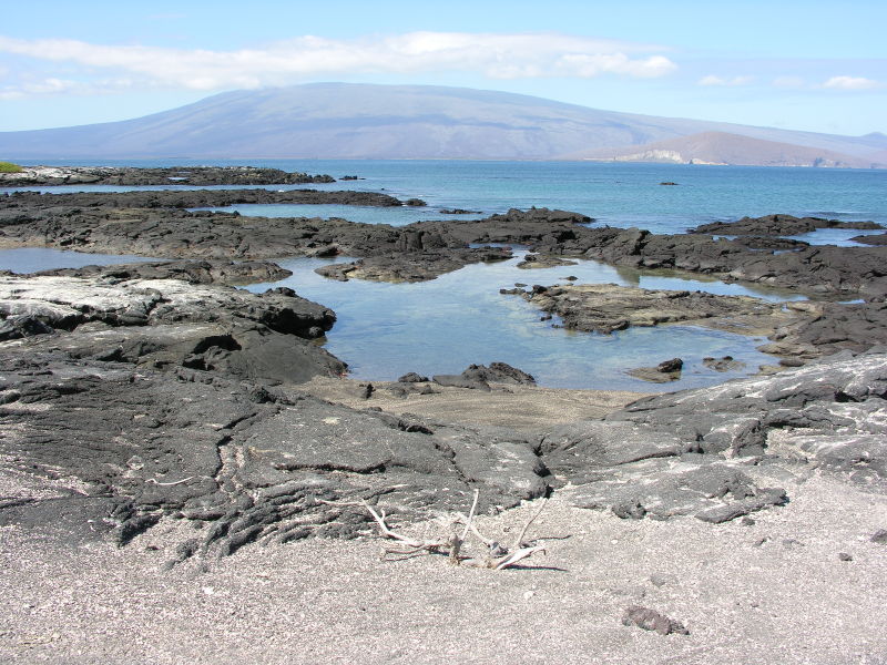 04puntaespinosa.jpg