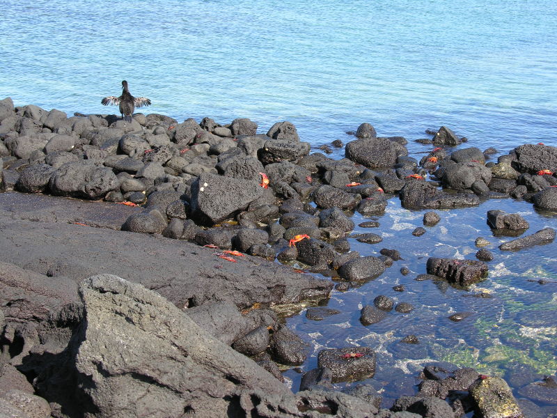 34puntaespinosa.jpg